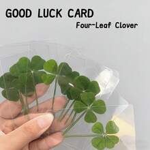 1张/3张/9张幸运四叶草书签 - 透明治愈系贺卡，含真四叶草茎，新年礼物，生日礼物，派对礼品 - 彩色 - 查看 5