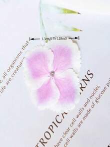 50pcs Lace-Covered Hydrangea Flowers, White Gradient Edges, Plant Specimens, Pressed Flowers, Handmade, Face Stickers, Resin Crafts, Phone Cases, Coasters, Dried Flowers - 50pcs - View 2