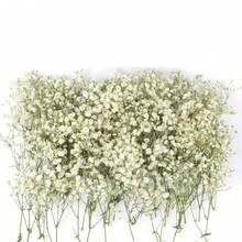 50/100 زهرة جبس أبيض اصطناعي - رقيقة، متينة وسهلة DIY، مناسبة للزفاف والديكور المنزلي والمكتبي والحفلات والحديقة - إكليل زهور أسلوب بوهيمي للمكتب، بدون ريش، بدون كهرباء، مثالية لعيد الميلاد وعيد الشكر وزينة عيد الهالوين المنزلية وهدايا عيد الميلاد وديكور عيد الميلاد - أبيض - مشاهدة 15