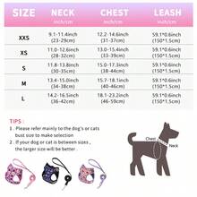 Adjustable Dog Leash And Harness Set, Easy Walk Puppy Safety Strap, Soft Mesh Pet Harness For Small Dogs, No-Pull Adjustable Dog Leash - Multicolor - View 3