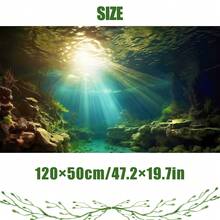 阳光明媚的深潭,鱼缸背景画,水族箱背景贴纸,爬行动物缸背景装饰,两侧嶙峋的峭壁,附着的海藻和苔藓散发出湿润的绿色,光影交错,将家里的鱼缸变成一个微缩的深潭圣地,水族箱背景装饰,适用于水族箱、两栖动物和爬行动物栖息地装饰,鱼缸/水族箱/爬行动物缸配件 - A - 查看 15