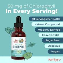 Mary Ruth's Chlorophyll Liquid Drops: Mulberry-Derived, Vegan, Peppermint (2 Fl Oz) - Vegan Chlorophyll Liquid Drops - 查看 7
