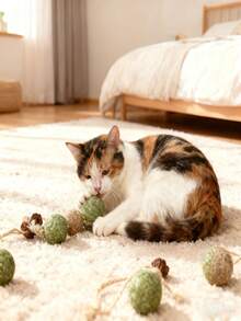 10个装猫薄荷+马塔塔比球宠物猫玩具 - 防咬咀嚼玩具，缓解无聊 - 牙膏棒，自娱自乐啃咬，舒缓宠物玩具 - 彩色 - 查看 7