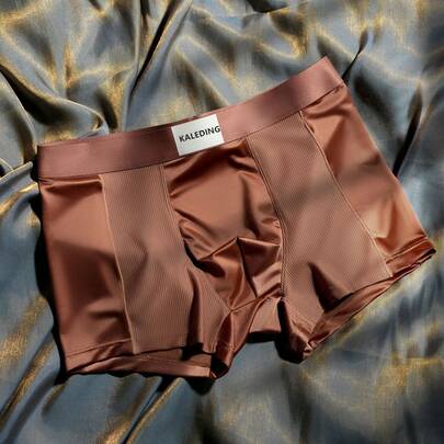 Men's Underwear Silk Breathable Mesh Summer Comfortable Briefs Cool Feeling Men