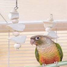 Palo grande de hueso de jibia, suplemento de calcio para masticar y desgastar los dientes para aves de mascota - Multicolor - Ver 3