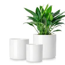 vancasso 3-Piece Ceramic Flowerpot Set, Low-Base Straight-Sided Flower Pot In Black/Blue/Gray/Khaki/White, Plant Pots With 3 Different Sizes: 6.25 Inches, 8.25 Inches And 10.25 Inches, Suitable For Multiple Scenes For Display And Viewing - Trắng - Xem 1