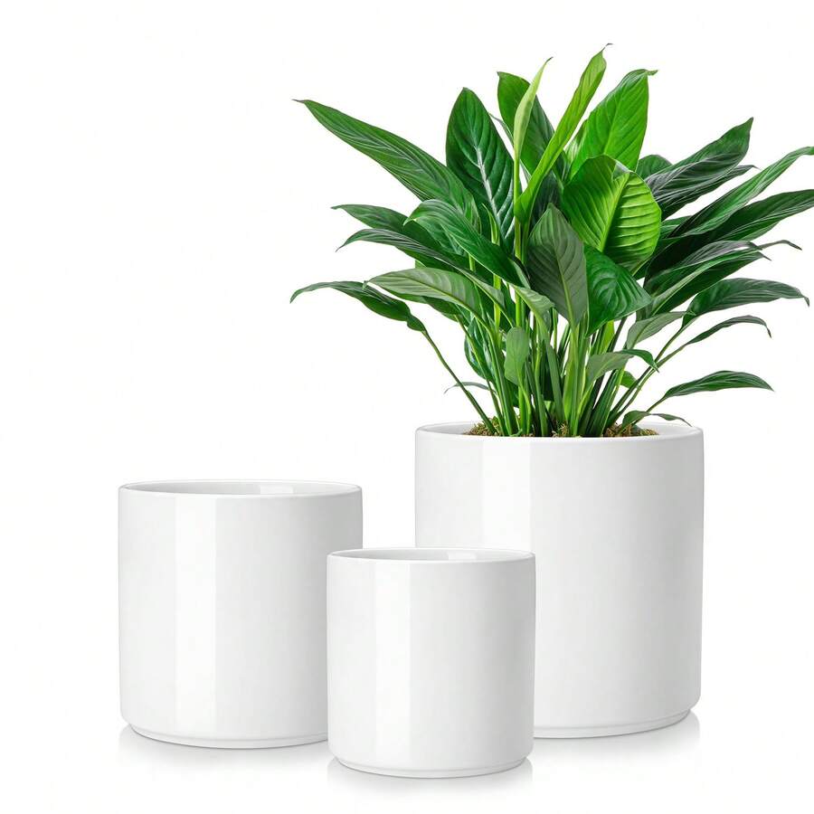 vancasso 3-Piece Ceramic Flowerpot Set, Low-Base Straight-Sided Flower Pot In Black/Blue/Gray/Khaki/White, Plant Pots With 3 Different Sizes: 6.25 Inches, 8.25 Inches And 10.25 Inches, Suitable For Multiple Scenes For Display And Viewing - Trắng - Xem 1