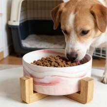陶瓷猫狗碗,竹底,加厚防倾倒防噎宠物食品水碗套装,易于清洁,适用于猫、狗、幼犬,宠物用品,陶瓷宠物碗带防滑竹底 - 395ML - 查看 9