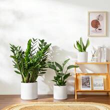 vancasso 3-Piece Ceramic Flowerpot Set, Low-Base Straight-Sided Flower Pot In Black/Blue/Gray/Khaki/White, Plant Pots With 3 Different Sizes: 6.25 Inches, 8.25 Inches And 10.25 Inches, Suitable For Multiple Scenes For Display And Viewing - Trắng - Xem 4