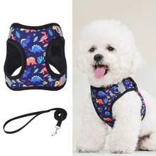 Adjustable Dog Leash And Harness Set, Easy Walk Puppy Safety Strap, Soft Mesh Pet Harness For Small Dogs, No-Pull Adjustable Dog Leash - Multicolor - View 34