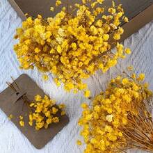 50/100 زهرة جبس أبيض اصطناعي - رقيقة، متينة وسهلة DIY، مناسبة للزفاف والديكور المنزلي والمكتبي والحفلات والحديقة - إكليل زهور أسلوب بوهيمي للمكتب، بدون ريش، بدون كهرباء، مثالية لعيد الميلاد وعيد الشكر وزينة عيد الهالوين المنزلية وهدايا عيد الميلاد وديكور عيد الميلاد - أبيض - مشاهدة 22