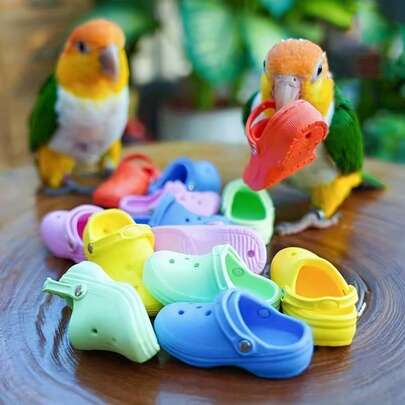 1个（颜色随机）迷你道具，鹦鹉玩具/鹦鹉磨牙/增进亲子关系