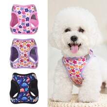 Adjustable Dog Leash And Harness Set, Easy Walk Puppy Safety Strap, Soft Mesh Pet Harness For Small Dogs, No-Pull Adjustable Dog Leash - Multicolor - View 2