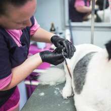 Reusable Nitrile Rubber Gloves Made Of High Elasticity Material, Suitable For Holiday Gifts, Kitchen Washing, Home Cleaning, Latex-Free, Powder-Free, PVC-Free, Stylish Packaging - Black - View 6