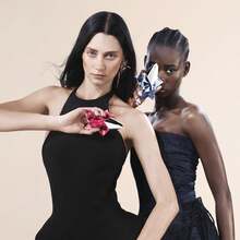 Pink Star Women's Eau De Toilette - Citrus Rose Cedar - 50/1.7oz, A Gift For Women, A Holiday Present, Long-Lasting Fragrance.Brand Factory Direct , Quality Guaranteed, Big Brand Promotion, An Excellent Gift For Friends And Relatives - Oriental Floral Blend - View 7