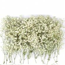 50/100 زهرة جبس أبيض اصطناعي - رقيقة، متينة وسهلة DIY، مناسبة للزفاف والديكور المنزلي والمكتبي والحفلات والحديقة - إكليل زهور أسلوب بوهيمي للمكتب، بدون ريش، بدون كهرباء، مثالية لعيد الميلاد وعيد الشكر وزينة عيد الهالوين المنزلية وهدايا عيد الميلاد وديكور عيد الميلاد - أبيض - مشاهدة 18