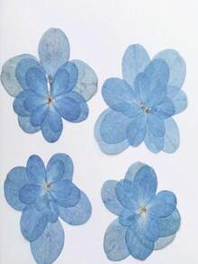 12朵蓝色重瓣绣球花，干花，材料，相框，书签，蜡烛，压花植物，手工胶水粘贴式DIY装饰品 - 12件 - 查看 9