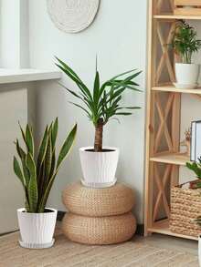 苗圃种植箱 - 漣漪花盆 - 查看 3