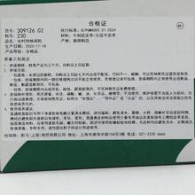 Puma Women's Ferrari Low-Top Sneakers 30912602 - Red and White - View 8