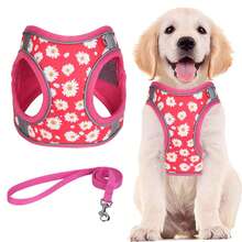 Adjustable Dog Leash And Harness Set, Easy Walk Puppy Safety Strap, Soft Mesh Pet Harness For Small Dogs, No-Pull Adjustable Dog Leash - Multicolor - View 10