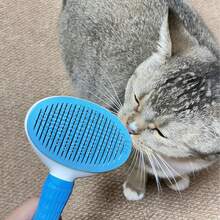 Cat Grooming Brush, Round Pet Deshedding Brush For Dogs And Cats, Effective Pet Hair Remover, Useful Pet Supplies - Multicolor - View 7
