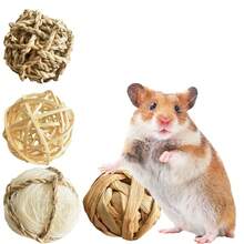 Small Pet Chew Grass Ball Toy, Molar Teething Toy Rabbit Guinea Pig Chinchilla Hamster, Boredom Relief Pet Chew Toy Small Animals - 特大蘿蔔[18cm] - 查看 3