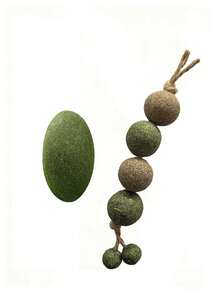 10个装猫薄荷+马塔塔比球宠物猫玩具 - 防咬咀嚼玩具，缓解无聊 - 牙膏棒，自娱自乐啃咬，舒缓宠物玩具 - 彩色 - 查看 11