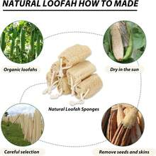 4块天然丝瓜络身体去角质海绵，有机植物丝瓜络，男女皆宜，适用于护肤、沐浴、淋浴清洁，可用于背部和面部。 - 彩色 - 查看 8