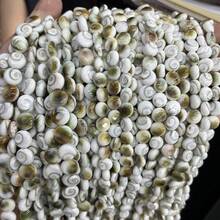 1 Strand 8/10mm Natural Freshwater Shell Conch Shell Round Threaded Beads Jewelry Making DIY Necklace Bracelet Earrings Accessories Wedding - Multicolor - View 2