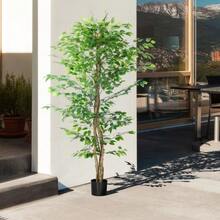 Artificial, Realistic, Easy-Care Ficus Tree, Includes Pot, 180 Cm Tall, Green. - A - View 7