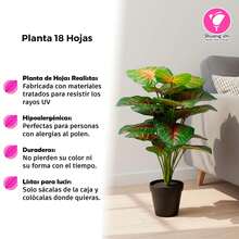 Planta Artificial Alocasia Centro Rojo 54 cm – Follaje Realista con Maceta Moderna en Maceta de plástico, Decoración Para Sala de Estar Decoración de Interior y Exterior - Verde - Ver 3