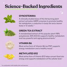 Lemme Unflavored Capsules With Actiponin Jiaogulan Green Tea Extract Vitamin B6 Methyl B12 AMPK Metabolic Activator 60 Count For Adults Vegetarian Gluten Free - 3 pcs - 查看 3