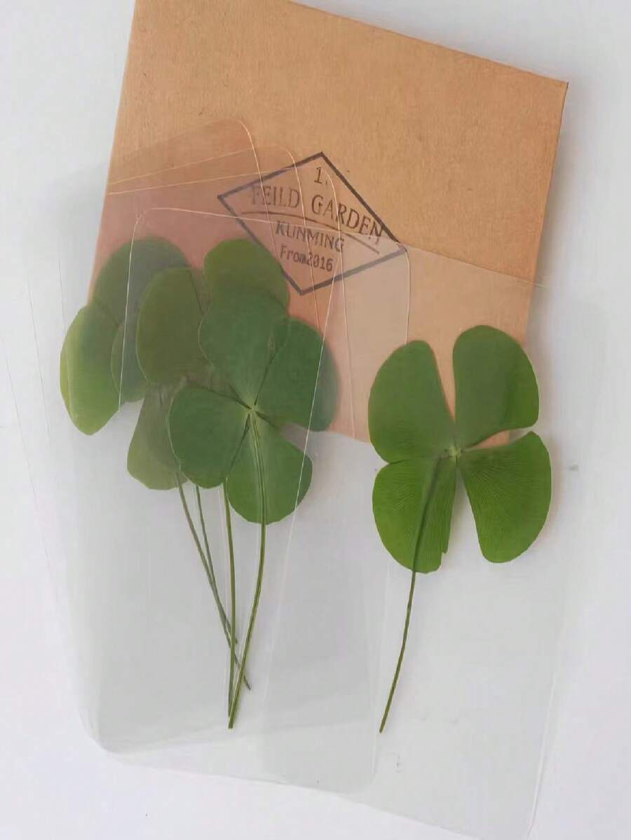 四叶草、植物标本、树脂、胶水、手机壳、书签、相框、DIY材料包 - 8Pcs - 查看 1