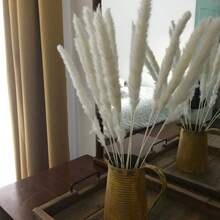 15/30/45/60 Peças, Grama Pampa, Junco Branco Pequeno, Grama Pampa, Aproximadamente 45 cm Ramos de Grama Pampa Seca Natural, Adequado para Casa, Cozinha, Jardim, Festa, Decoração Doméstica e Presentes, Decoração Doméstica Estilo Boêmio, Arranjo Floral DIY, Adereços de Fotografia - Branco - Visão 3
