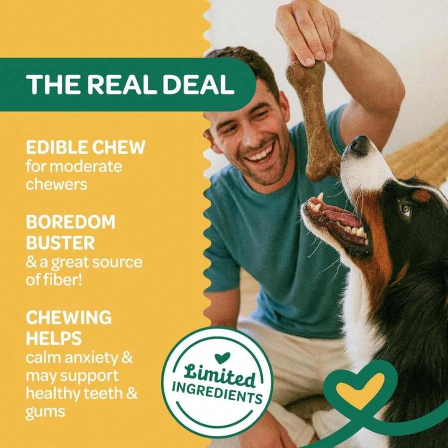Wholesome Pride Natural &Amp; Healthy Pumpkin Highly Digestible Dog Chews, Made In The USA, Large - 2 Pack - ColorB - 查看 1