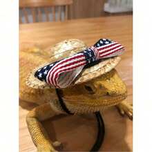 防逃脱蜥蜴牵引绳套装，包含遮阳帽和便携式日光浴吊床，可爱爬行动物时尚组合 - 彩色 - 查看 4