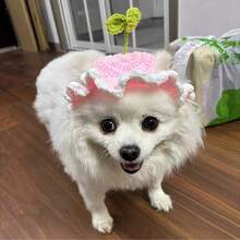 Knitted Pet Hat, Elegant Crochet Cat Hat With Rabbit Ear Ruffled Floral Decor, Suitable For Small/Medium Cats, Soft & Easy To Wear, Great For Birthday, Holiday, Travel, Photo Shoot, Adorable Pet Accessory - Multicolor - View 6