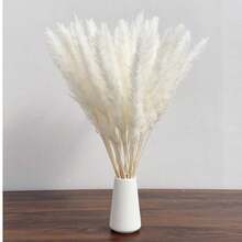 15/30/45/60 Peças, Grama Pampa, Junco Branco Pequeno, Grama Pampa, Aproximadamente 45 cm Ramos de Grama Pampa Seca Natural, Adequado para Casa, Cozinha, Jardim, Festa, Decoração Doméstica e Presentes, Decoração Doméstica Estilo Boêmio, Arranjo Floral DIY, Adereços de Fotografia - Branco - Visão 6