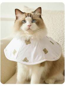 伊丽莎白可爱小熊加深宠物头套，猫咪绝育术后保护罩，防水狗狗颈圈 - 彩色 - 查看 5