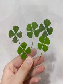 四叶草、植物标本、树脂、胶水、手机壳、书签、相框、DIY材料包 - 8Pcs - 查看 5