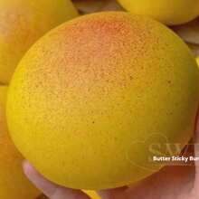 1个奶油吐司造型挤压玩具 - 解压玩具 - 挤压玩具 - 软萌玩具 - 捏捏乐玩具 - 指尖玩具 - 史迪奇玩具 - 旅行玩具 - 课堂指尖玩具 - 迷你洗澡玩具 - 圣诞文具减压球，生日礼物，完美礼物，赠品，玩具，游戏 - 彩色 - 查看 14