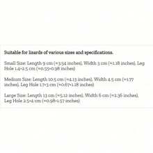 防逃脱蜥蜴牵引绳套装，包含遮阳帽和便携式日光浴吊床，可爱爬行动物时尚组合 - 彩色 - 查看 3