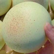 1个奶油吐司造型挤压玩具 - 解压玩具 - 挤压玩具 - 软萌玩具 - 捏捏乐玩具 - 指尖玩具 - 史迪奇玩具 - 旅行玩具 - 课堂指尖玩具 - 迷你洗澡玩具 - 圣诞文具减压球，生日礼物，完美礼物，赠品，玩具，游戏 - 彩色 - 查看 12