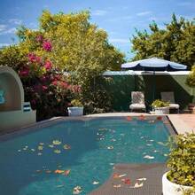 黑色遮阳网，防紫外线遮阳网，透气，适用于庭院、农场、宠物屋、凉亭、露台、植物隔热网、阳台、车库、后院、游泳池、草坪、墙壁、户外活动、隐私屏风、围栏、遮阳棚、户外凉亭、遮阳篷、农业温室（仅含遮阳网） - A - 查看 8