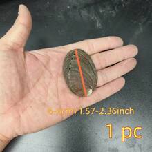 Premium Abalone Shell - Ideal For Jewelry Making, Meditation, And Home Decor | Unique Gift Idea - Multicolor - View 13