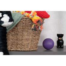 Dog Toy Basket, Bone Shaped Dog Toy Bin, Handmade Pet Organizer And Storage, Toy Box For Cats, (17x13 Seagrass) - 中號(17x13吋) - 查看 7