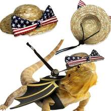 防逃脱蜥蜴牵引绳套装，包含遮阳帽和便携式日光浴吊床，可爱爬行动物时尚组合 - 彩色 - 查看 8