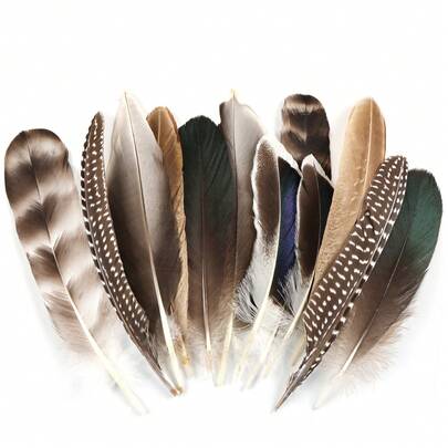 12pcs Assorted Realistic Feather, 6 Styles, DIY Craft Headpiece Decor For Halloween