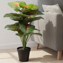 Planta Artificial Alocasia Centro Rojo 54 cm – Follaje Realista con Maceta Moderna en Maceta de plástico, Decoración Para Sala de Estar Decoración de Interior y Exterior - Verde - Ver 5