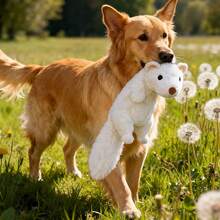 fgofoc Muñeco de peluche interactivo con chillido para entrenamiento de mascotas, adecuado para todas las razas de perros, material de doble capa con chirrido, aplicable para gatos y perros - Blanco - Ver 5